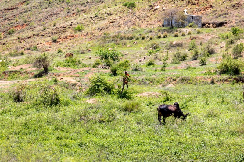 Unterwegs-in-Madagaskar