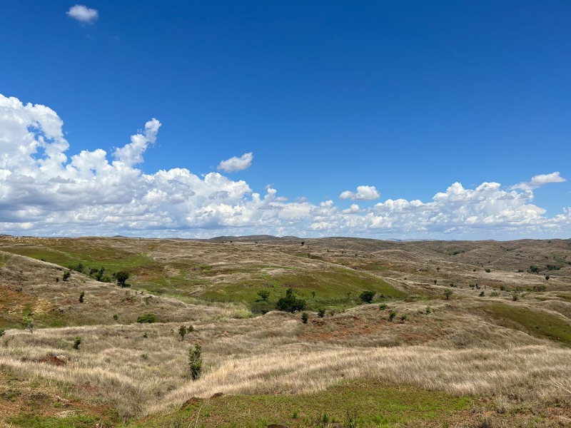 unterwegs-Landschaft