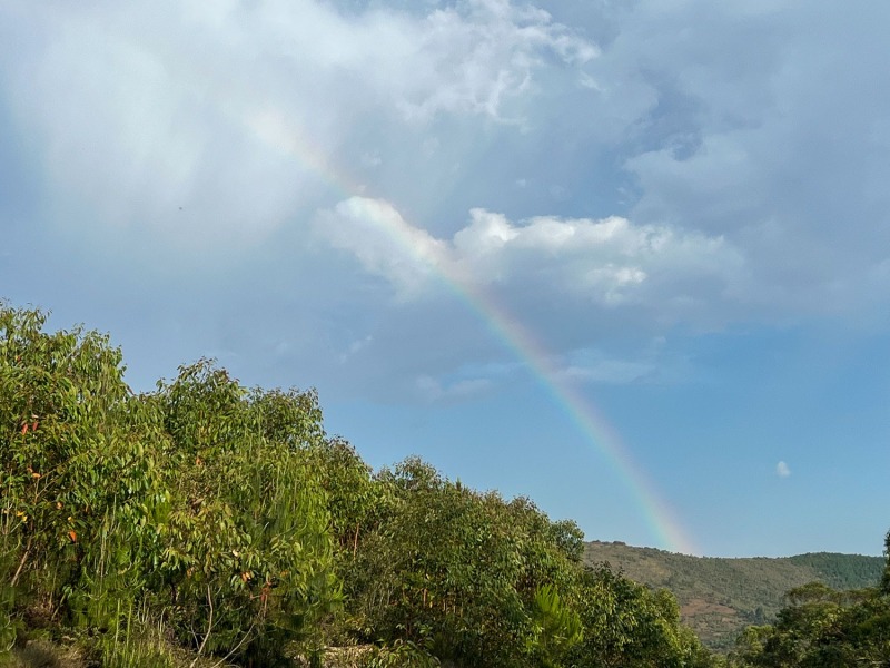 Regenbogen-1