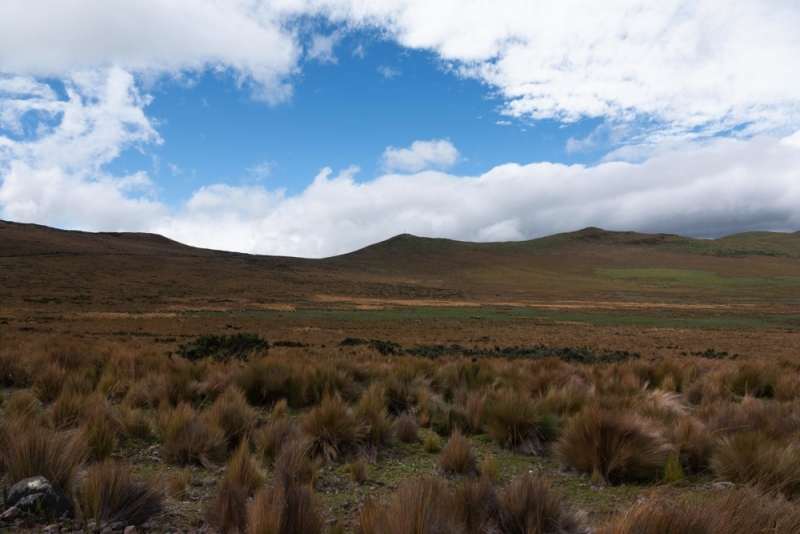 Antisana Landschaft