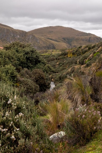 Antisana Landschaft