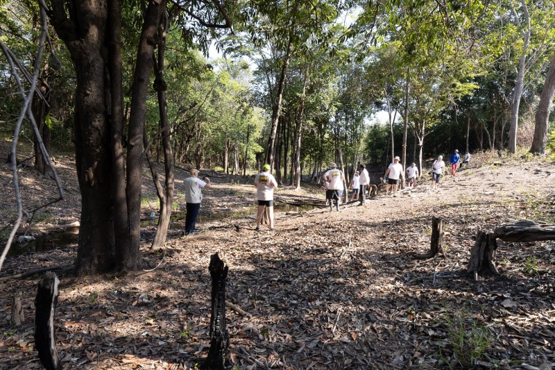 Bachlauf-Santa-Rosa