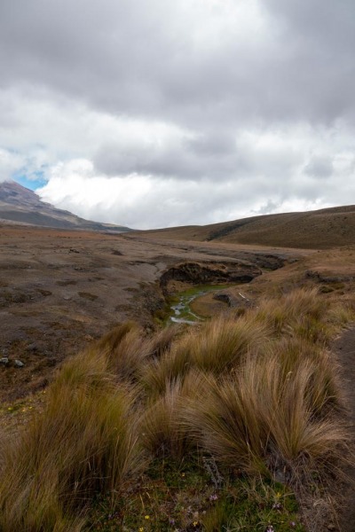 Cotopaxi-Schlucht