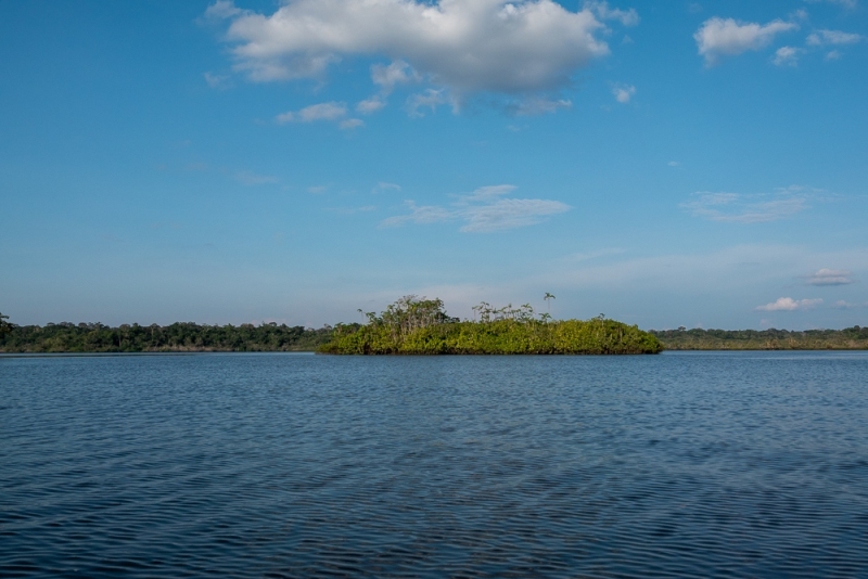 Cuaybeno-Lagune-grande