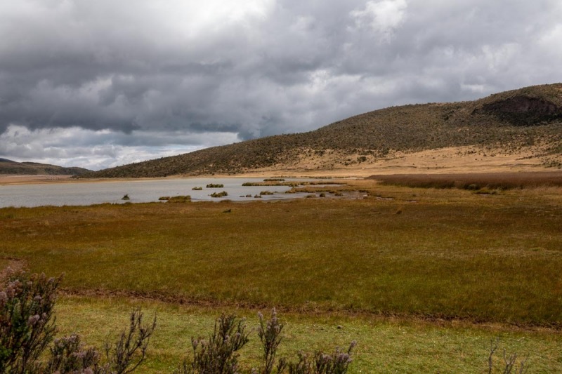 Cotopaxi-Lago-Limpiopungo