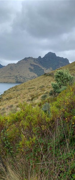 Laguna-Mojanda-Panorama-hoch