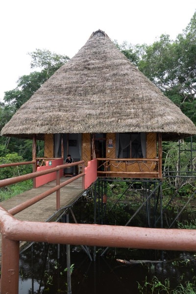 Napo-Wildlife-Lodge-Suite