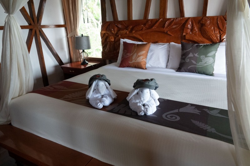 Napo-Wildlife-Lodge-Zimmer