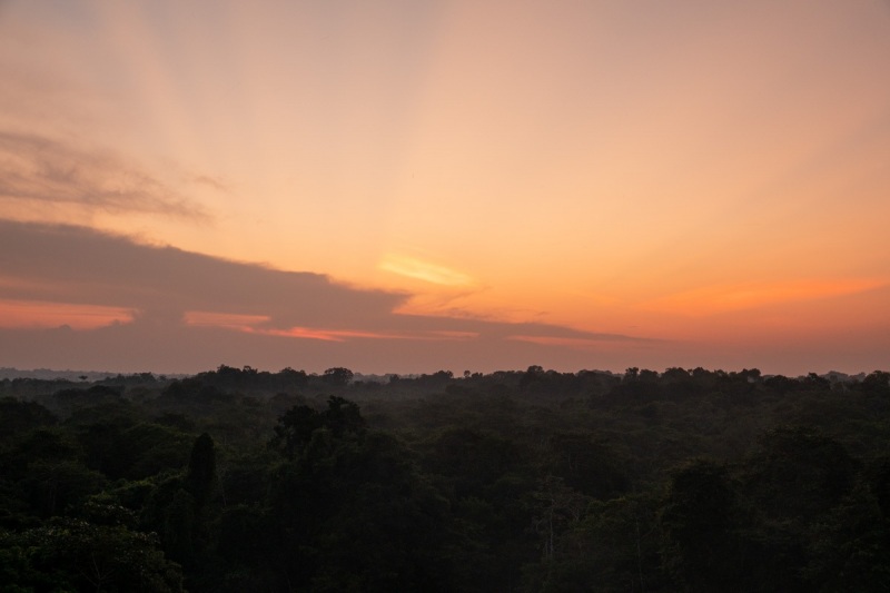 Napo-Wildlife-Lodge-Sonnenuntergang-2