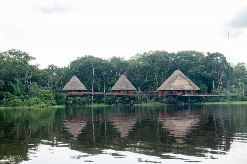 Napo-Wildlife-Lodge