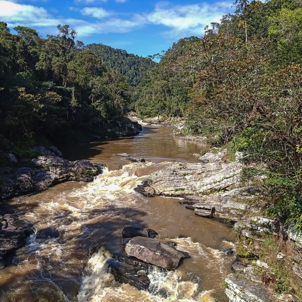 Nationalpark-Ranomafana