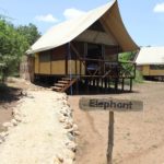 Bush Lodge Zelt