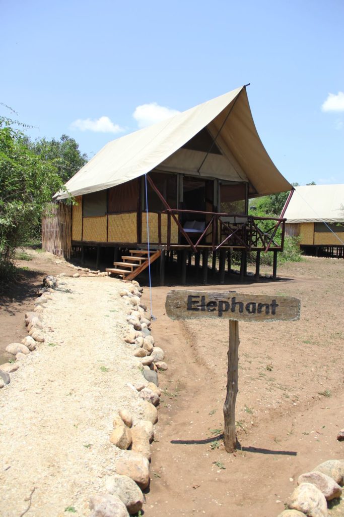 Bush Lodge Zelt