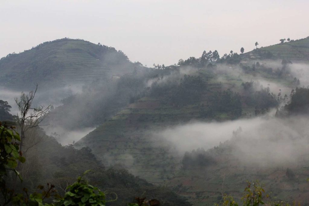 Bwindi Morgennebel