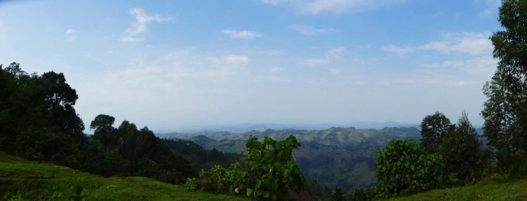 Bwindi Nationalpark