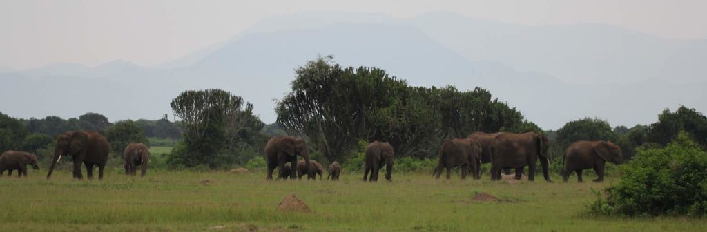 Uganda Reise 2017