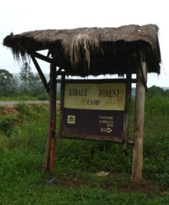 Kibale Forest Camp