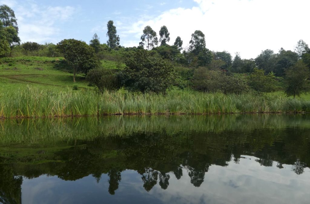 Lake Bunyonyi