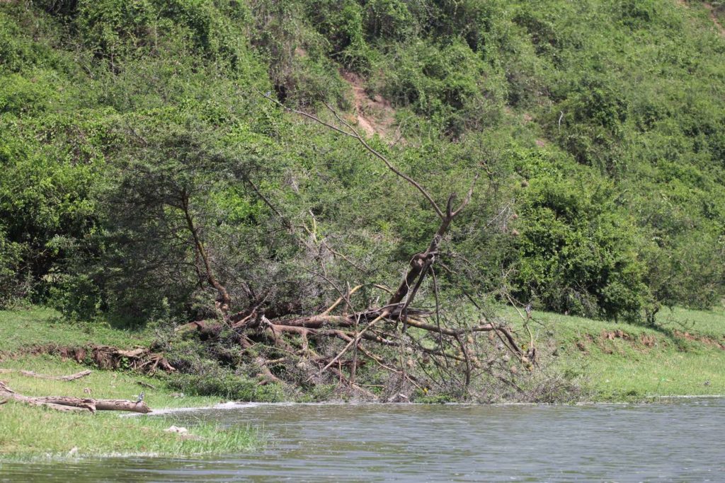 Landschaft Kazinga Kanal