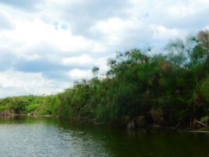 Ufer Lake Mburo